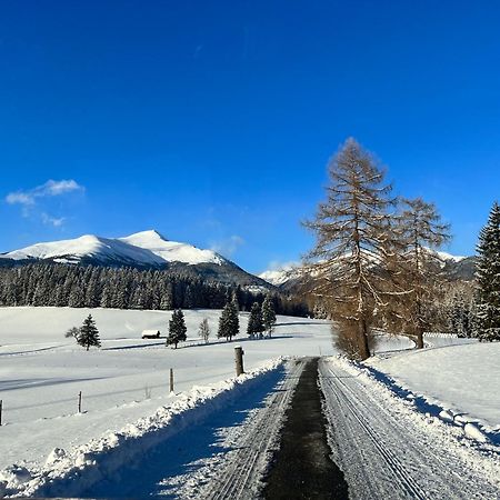 Chalet Am Teich Familie Gaenser Villa Feistritz am Kammersberg Eksteriør billede