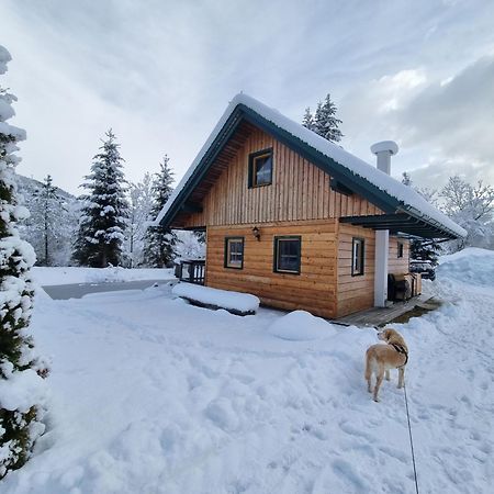 Chalet Am Teich Familie Gaenser Villa Feistritz am Kammersberg Eksteriør billede