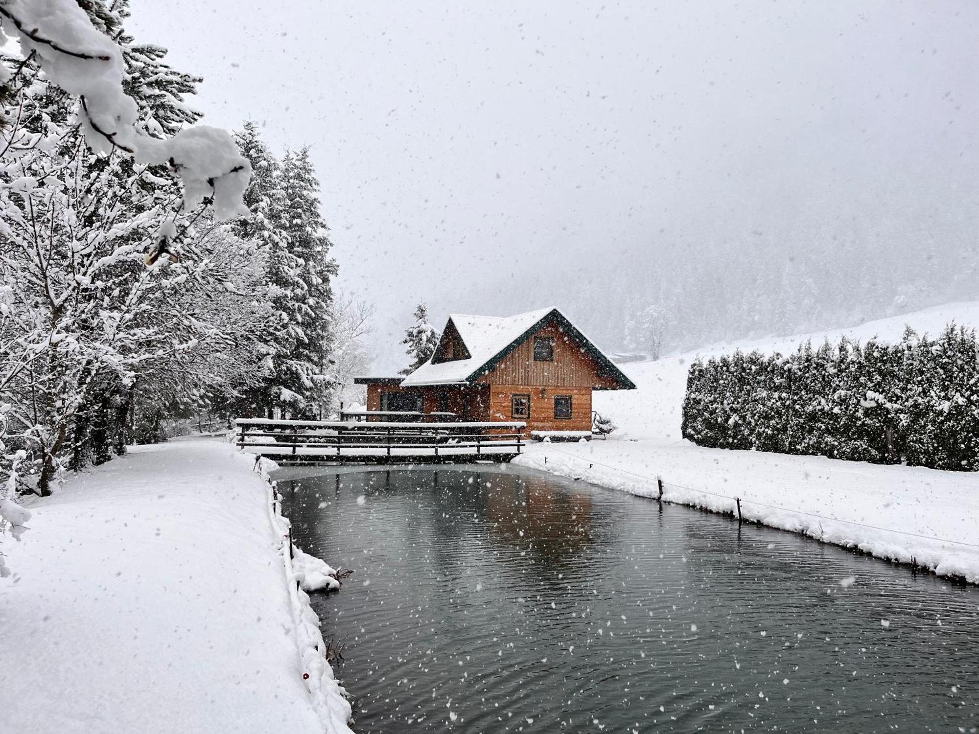 Chalet Am Teich Familie Gaenser Villa Feistritz am Kammersberg Eksteriør billede