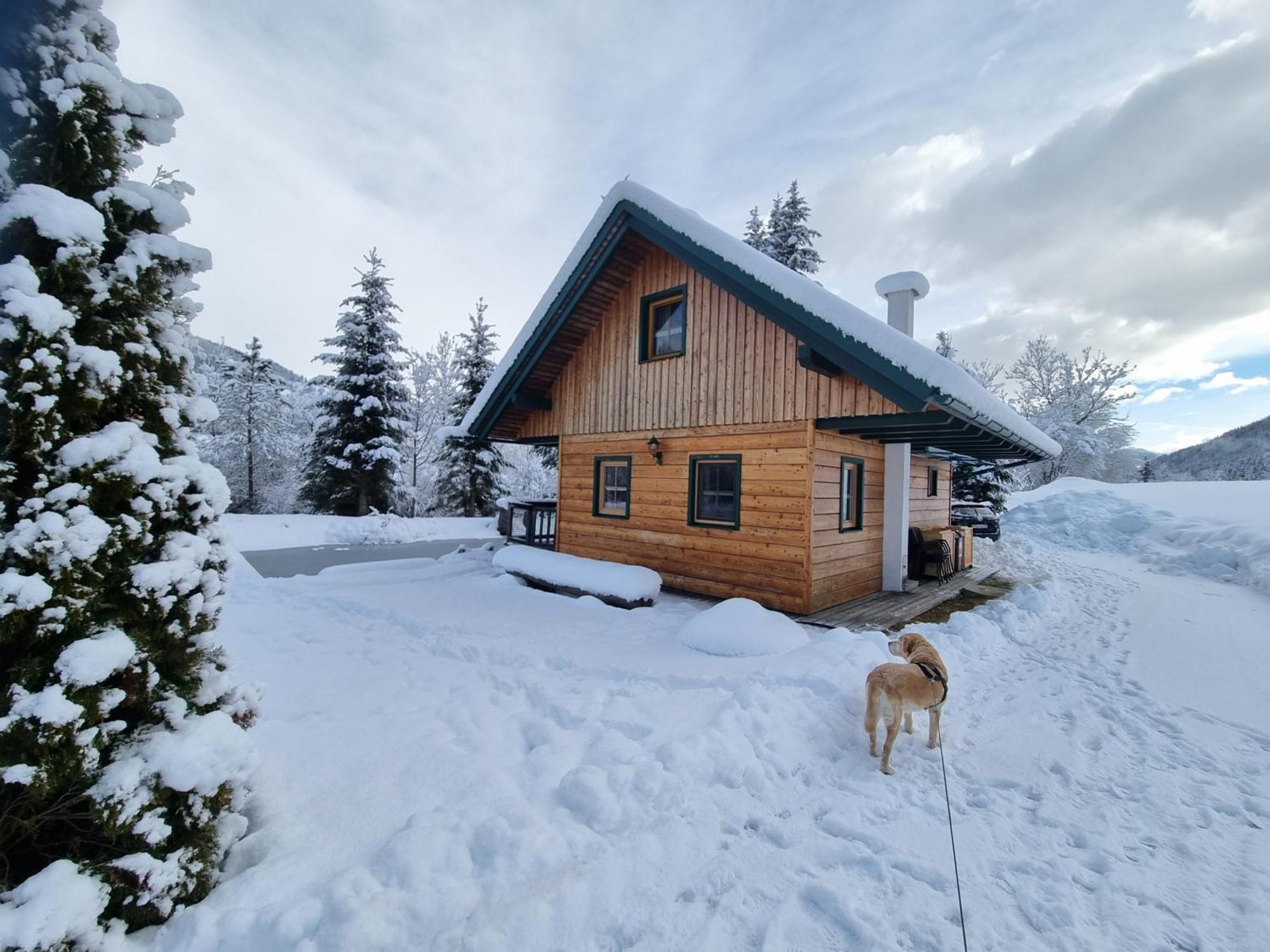 Chalet Am Teich Familie Gaenser Villa Feistritz am Kammersberg Eksteriør billede