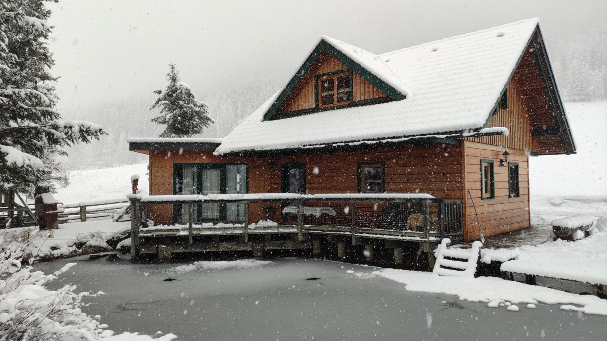 Chalet Am Teich Familie Gaenser Villa Feistritz am Kammersberg Eksteriør billede